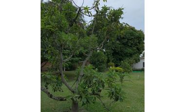 Hermosa finca de 3.600m2 con piscina en venta Rozo Valle Colombia