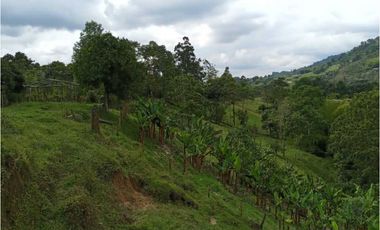 Se Vende Lote Turístico en Salento