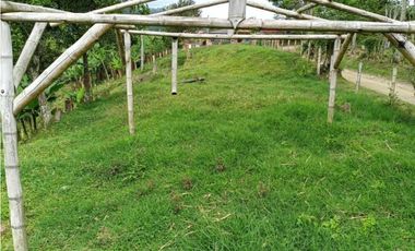 Se Vende Lote Turístico en Salento