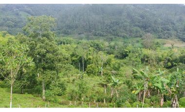 Se Vende Lote Turístico en Salento