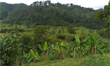 Se Vende Lote Turístico en Salento