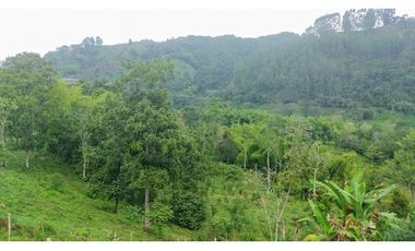 Se Vende Lote Turístico en Salento