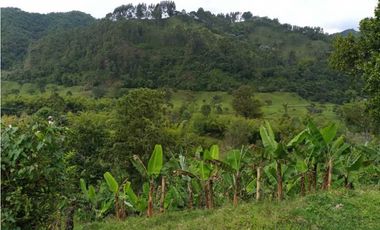 Se Vende Lote Turístico en Salento