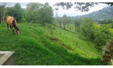 Se Vende Lote Turístico en Salento