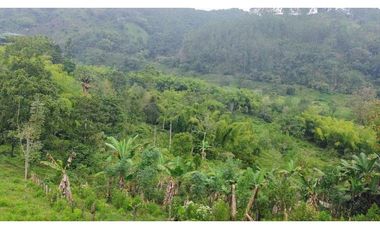 Se Vende Lote Turístico en Salento