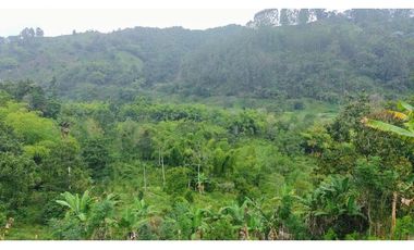 Se Vende Lote Turístico en Salento