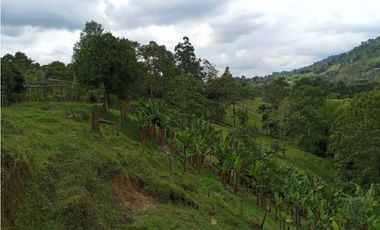 Se Vende Lote Turístico en Salento