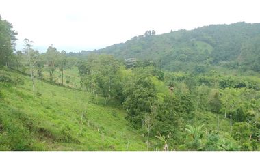 Se Vende Lote Turístico en Salento