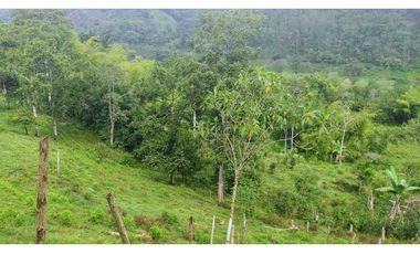 Se Vende Lote Turístico en Salento