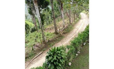 Se Vende Lote Turístico en Salento