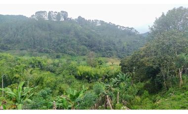 Se Vende Lote Turístico en Salento