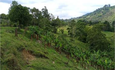 Se Vende Lote Turístico en Salento