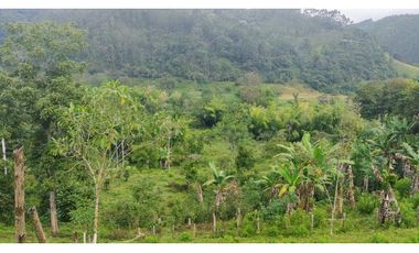 Se Vende Lote Turístico en Salento