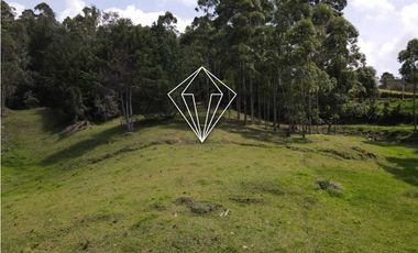 LOTE EN VENTA LA CEJA