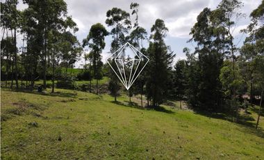 LOTE EN VENTA LA CEJA