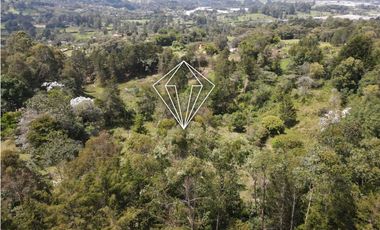 LOTE EN VENTA LA CEJA