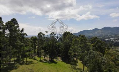LOTE EN VENTA LA CEJA