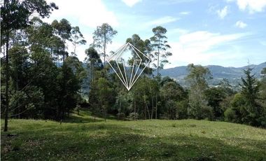 LOTE EN VENTA LA CEJA