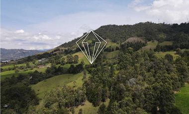 LOTE EN VENTA LA CEJA