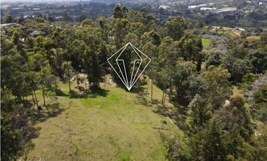 LOTE EN VENTA LA CEJA