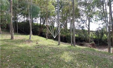 LOTE EN VENTA LA CEJA