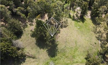 LOTE EN VENTA LA CEJA