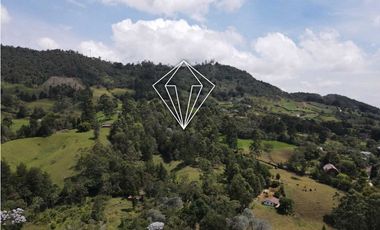 LOTE EN VENTA LA CEJA