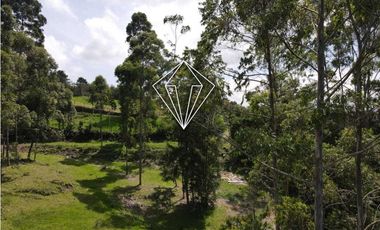 LOTE EN VENTA LA CEJA
