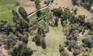 LOTE EN VENTA LA CEJA