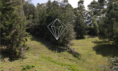 LOTE EN VENTA LA CEJA
