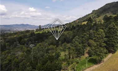 LOTE EN VENTA LA CEJA