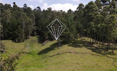 LOTE EN VENTA LA CEJA