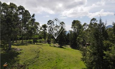 LOTE EN VENTA LA CEJA