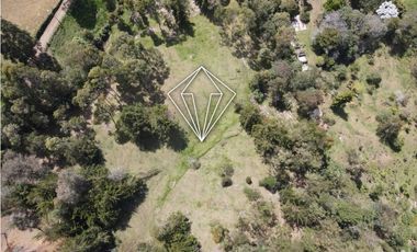 LOTE EN VENTA LA CEJA
