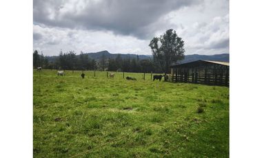 Casa en venta Arcabuco