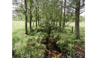 Casa en venta Arcabuco