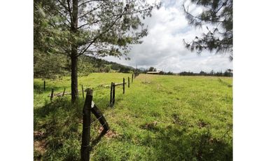 Casa en venta Arcabuco