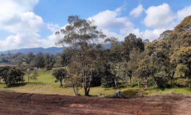 Lote en venta El Retiro - sector Fizebad