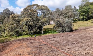 Lote en venta El Retiro - sector Fizebad