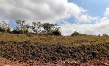 Lote en venta El Retiro - sector Fizebad