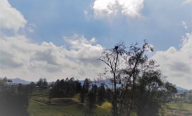 Lote en venta El Retiro - sector Fizebad