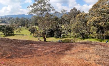 Lote en venta El Retiro - sector Fizebad