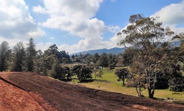 Lote en venta El Retiro - sector Fizebad