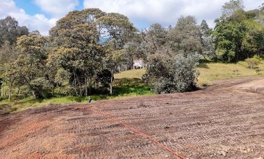 Lote en venta El Retiro - sector Fizebad