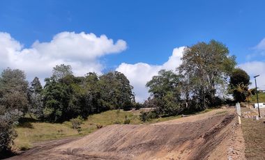 Lote en venta El Retiro - sector Fizebad