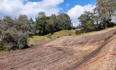 Lote en venta El Retiro - sector Fizebad