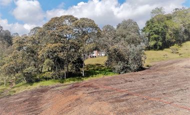 Lote en venta El Retiro - sector Fizebad