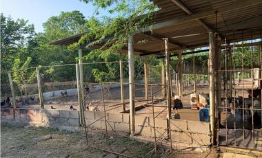 FINCA EN VENTA, ARENAL, BOLIVAR