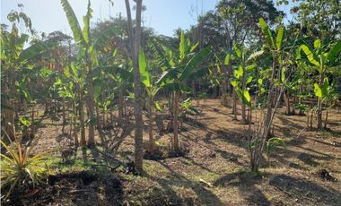 FINCA EN VENTA, ARENAL, BOLIVAR