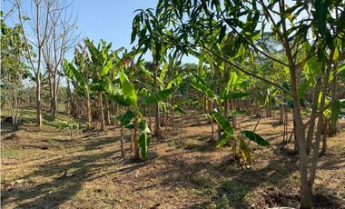FINCA EN VENTA, ARENAL, BOLIVAR